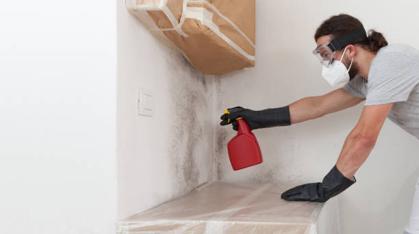 Professional Bathroom Mold Removal technician working in Beverly, MA