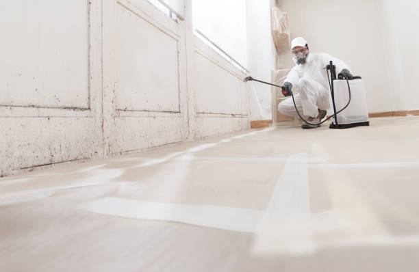 24/7 Emergency Bathroom Mold Removal experts in Beverly, MA